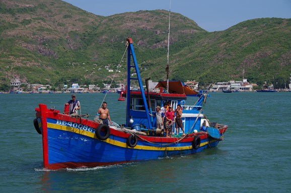Binh Dinh implements strong measures to combat IUU fishing